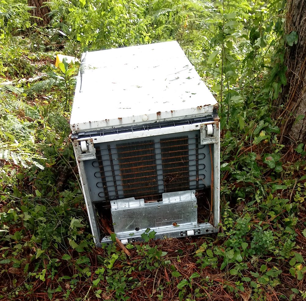 Hurricane Florence Lost & Found