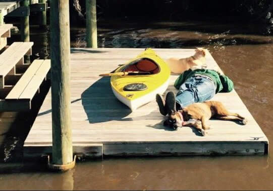 Hurricane Florence Lost & Found