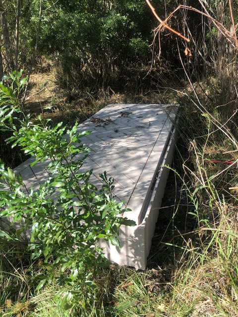Hurricane Florence Lost & Found