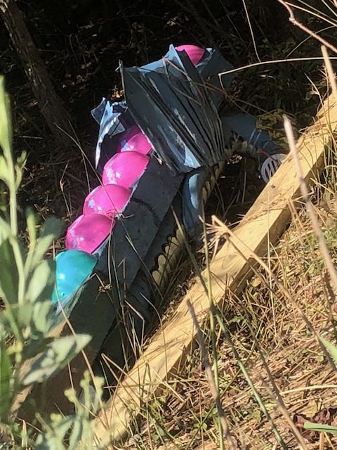 Hurricane Florence Lost & Found