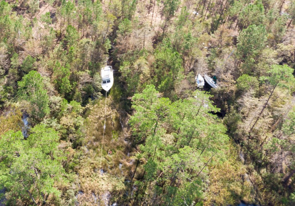 Hurricane Florence Lost & Found