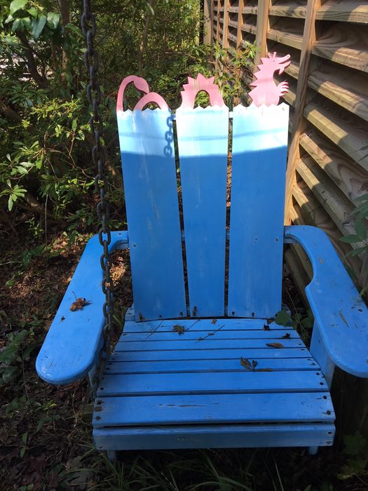 Hurricane Florence Lost & Found