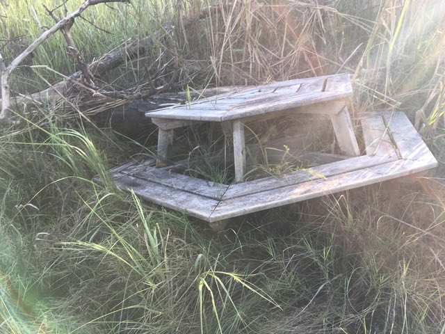 Hurricane Florence Lost & Found