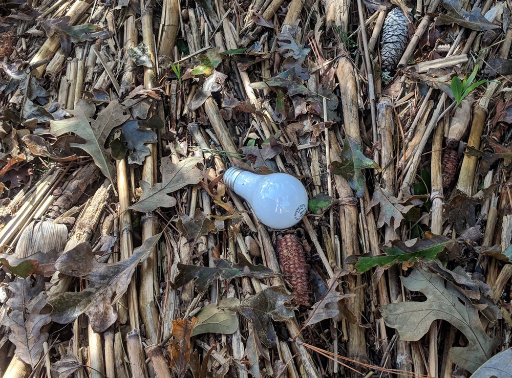 Hurricane Florence Lost & Found
