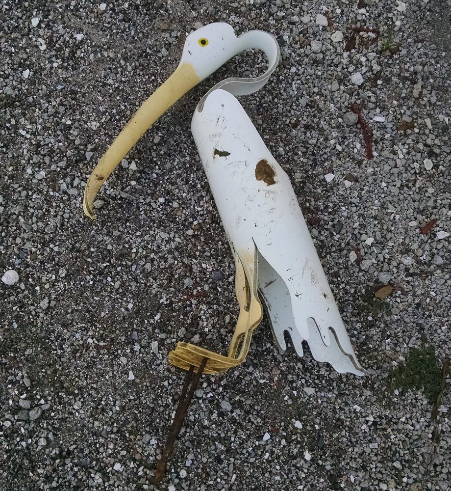 Hurricane Florence Lost & Found