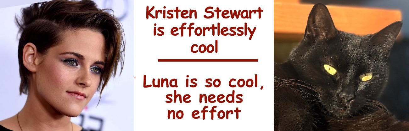 Pet of the Month Luna and Kristen Stewart