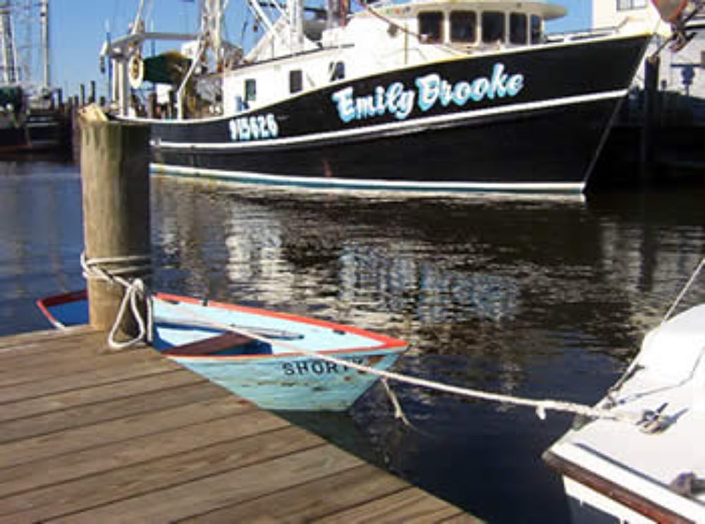 shorty the dinghy